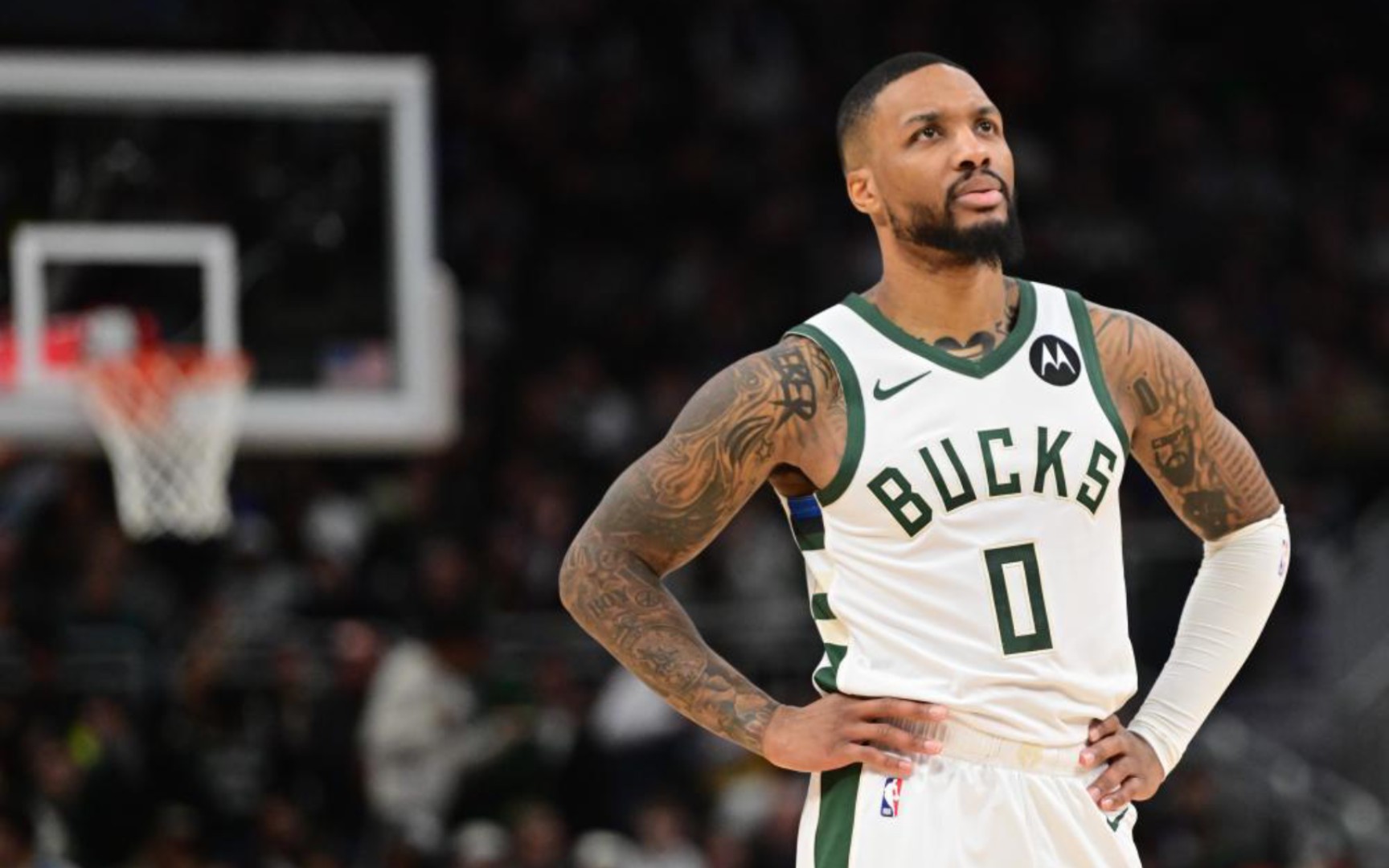 国家队的主 国家队的主